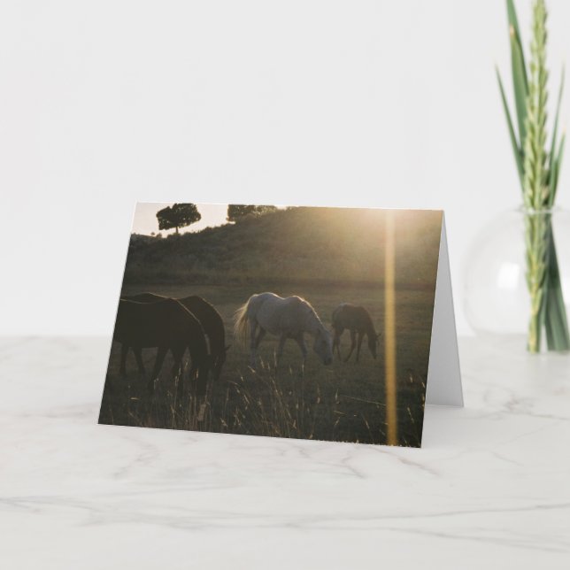 Cartão Sunbeams from Heaven - Photo Greeting Card (Frente)