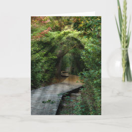 Cartão Sunbeams in Woods Sympathy