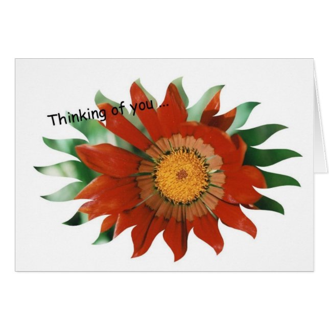 Cartão Sunburst do Gazania (Frente horizontal)