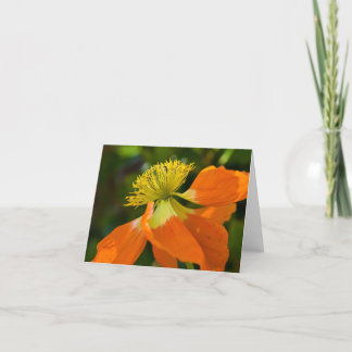 Cartão Sunburst Poppy Notecard