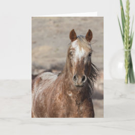 Cartão Sundance - Galloping to Freedom Greeting Card