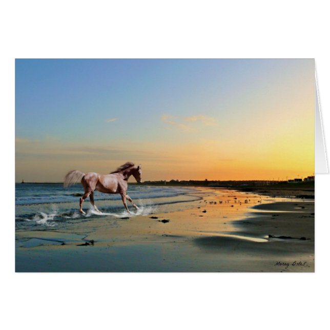 Cartão Sunderland - praia de Seaburn (Frente Horizontal)