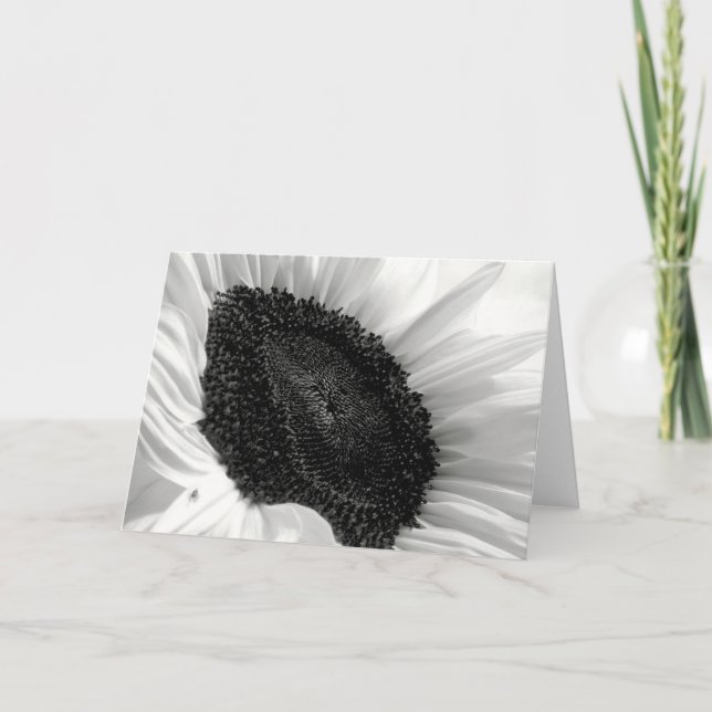 Cartão Sunflower Black and White Photograph (Frente)