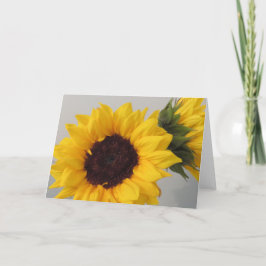 Cartão Sunflower blank card
