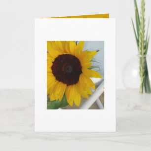 Cartão Sunflower Blank Card