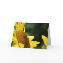 Sunflower Blank Greeting Card