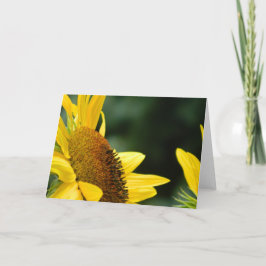 Cartão Sunflower Blank Greeting Card