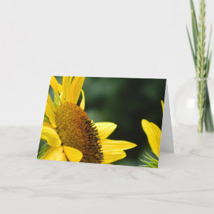 Cartão Sunflower Blank Greeting Card