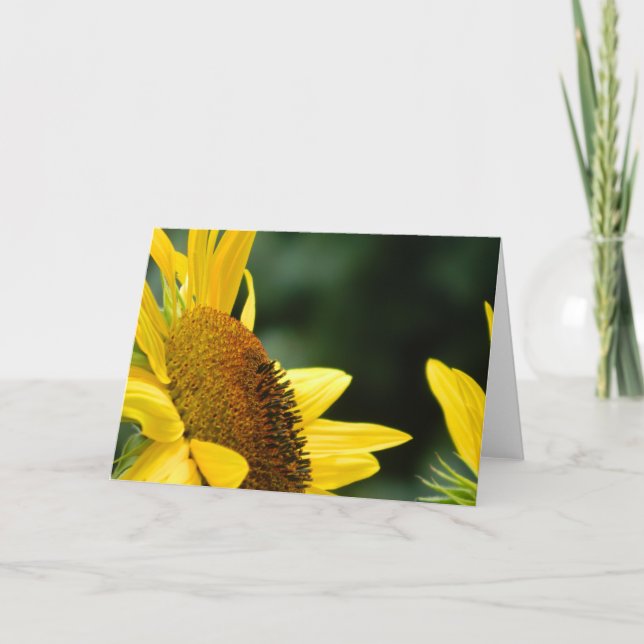 Cartão Sunflower Blank Greeting Card (Frente)