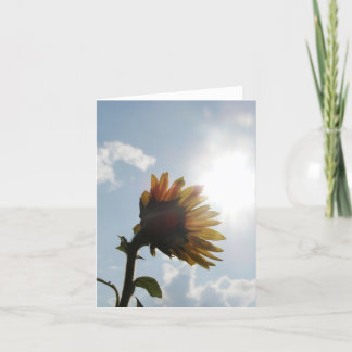 Cartão Sunflower Blank Note Card
