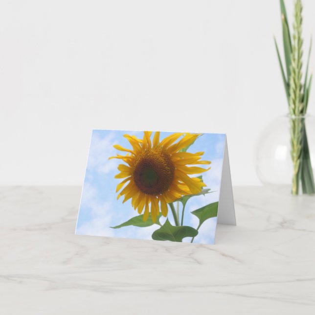 Cartão Sunflower Blank Note Card (Frente)