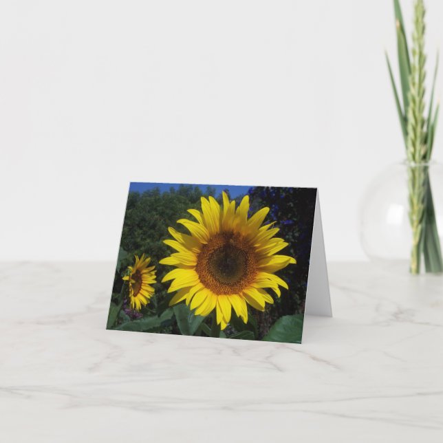 Cartão Sunflower Duo Notecard (Frente)