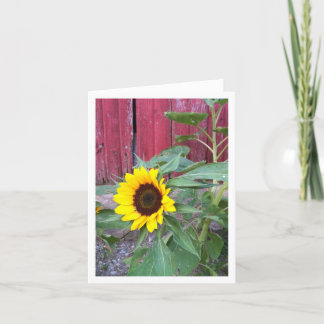 Cartão Sunflower Farm Notecard