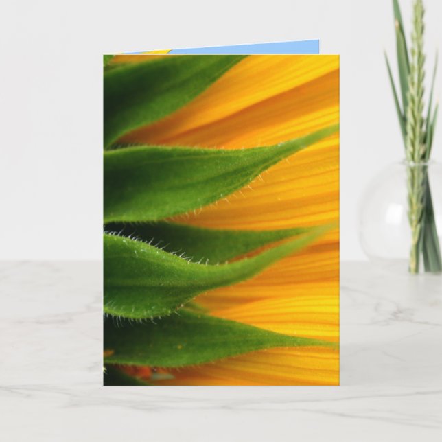 Cartão Sunflower Get Good Card (Frente)