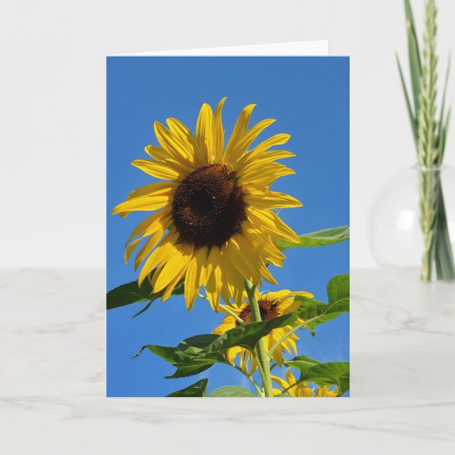 Cartão Sunflower greeting card (Frente)