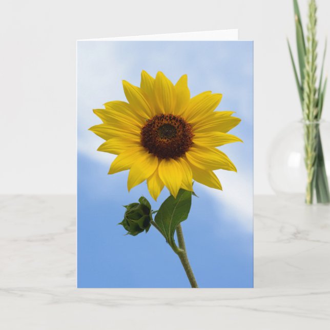 Cartão Sunflower Greeting Cards (Frente)