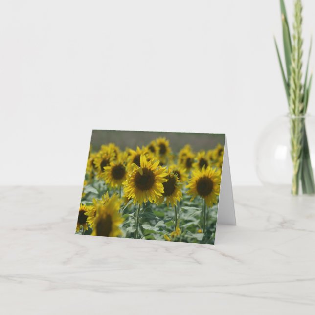 Cartão Sunflower   Note Cards (Frente)
