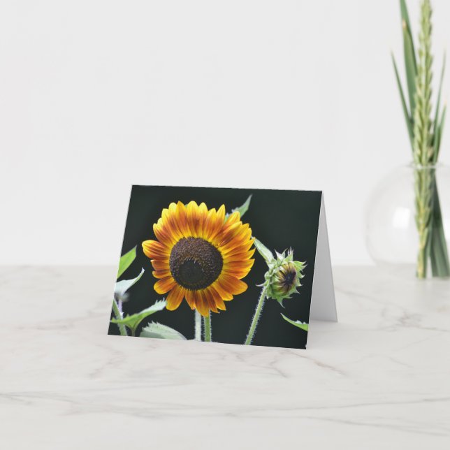 Cartão Sunflower Notecard (Frente)