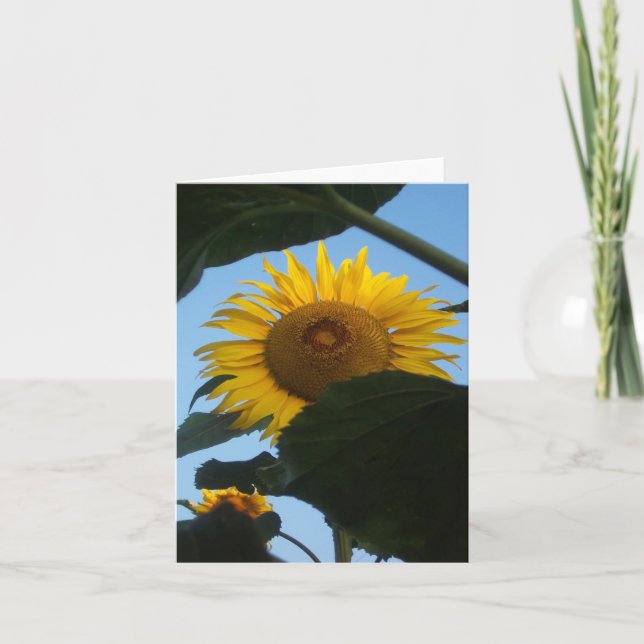 Cartão Sunflower Peeking Notecard (Frente)