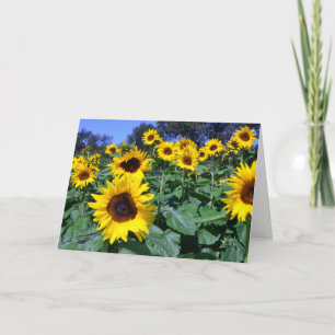Cartão Sunflower's for Mom