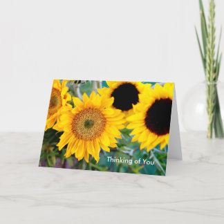 Cartão Sunflowers - Thinking of You Note Card