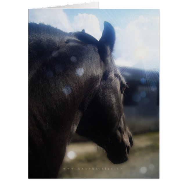 Cartão Sunlight - Greeting Card (Frente)