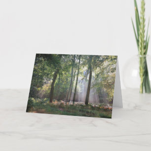 Cartão Sunlight in the Woods greeting card