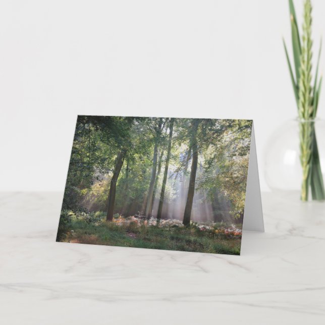 Cartão Sunlight in the Woods greeting card (Frente)