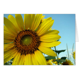 Cartão Sunny
