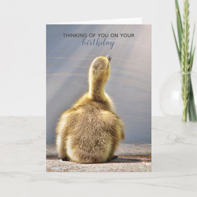 Cartão Sunny Birthday Wishes Card (Frente)