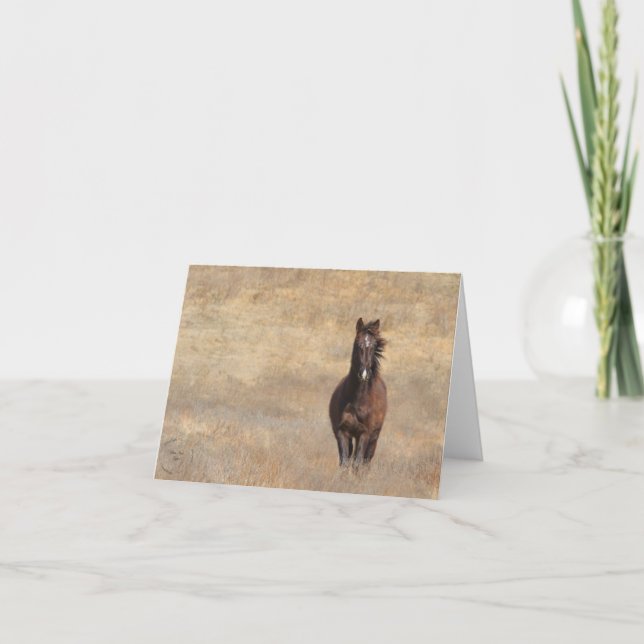 Cartão Sunny Breeze (Frente)