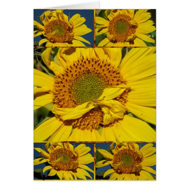 Cartão Sunny Flowery Sunshiny Day (Frente)