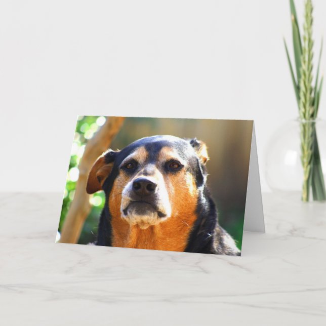 Cartão Sunny Grim-face Greeting Card (Frente)