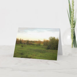 Cartão Sunny Meadow