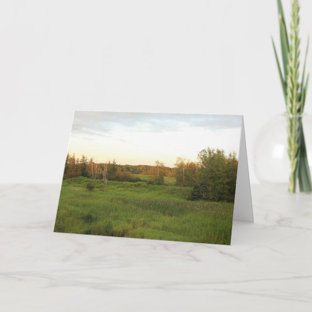 Cartão Sunny Meadow (Frente)