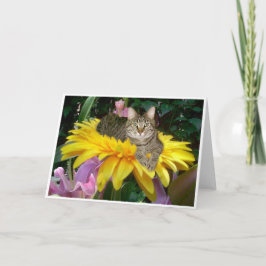 Cartão Sunny Side of the Street