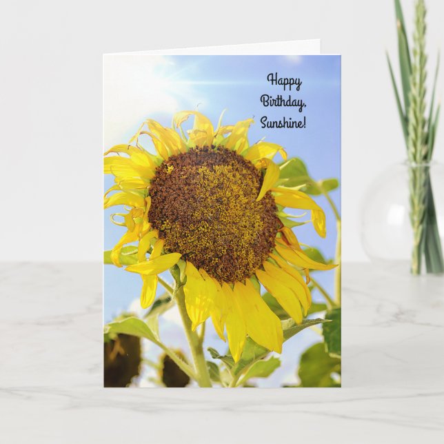 Cartão Sunny Sunflower Birthday Sunshine (Frente)