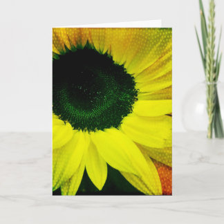 Cartão Sunny Sunflower Blank Greeting Card