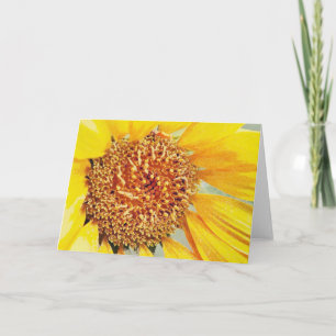 Cartão Sunny Sunflower Blank Note Card