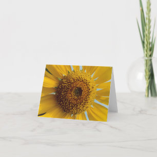 Cartão Sunny Sunflower - Giant Yellow Center Close (Centr