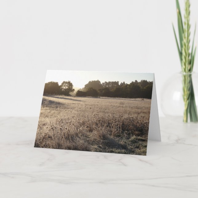 Cartão Sunrise na paisagem da Trailhead do Vale do Urso (Frente)