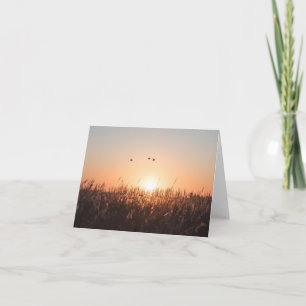 Cartão Sunrise Reed Nature Foto