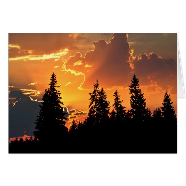 Cartão Sunrise sobre Douglas Fir Trees (Frente Horizontal)