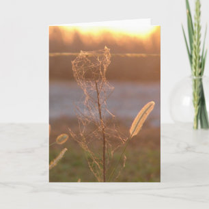 Cartão Sunset