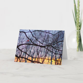 Cartão Sunset & A Red Cardinal Blank Greeting Card