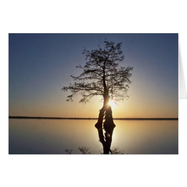 Cartão Sunset Atrás de Árvore (Frente Horizontal)