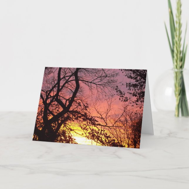 Cartão Sunset Colorido Através De Árvores Negras (Frente)