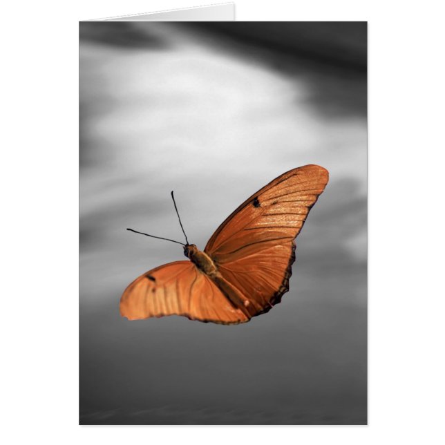 Cartão Sunset com borboleta (Frente)