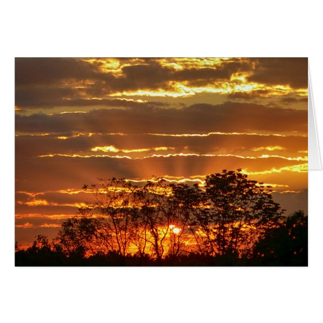 Cartão Sunset Com Raios De Ouro Através De Árvores (Frente Horizontal)