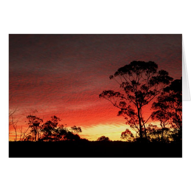 Cartão Sunset de inverno (Frente Horizontal)